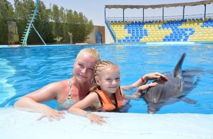 Dolphin Show Hurghada