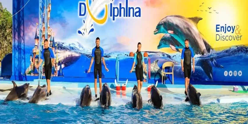 Dolphin Show in Makadi