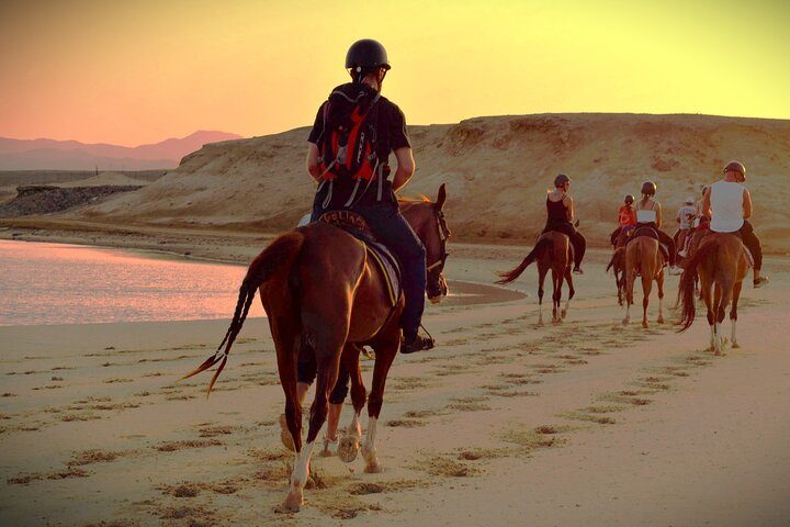 Horse Riding in Hurghada