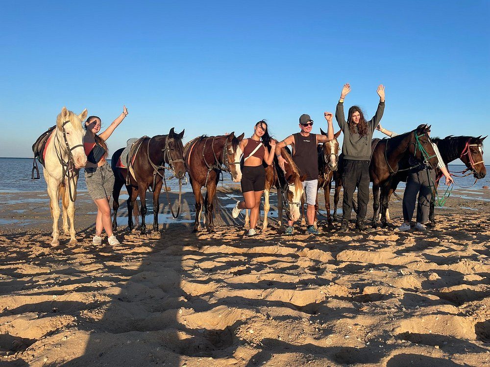 Horse Riding in Hurghada