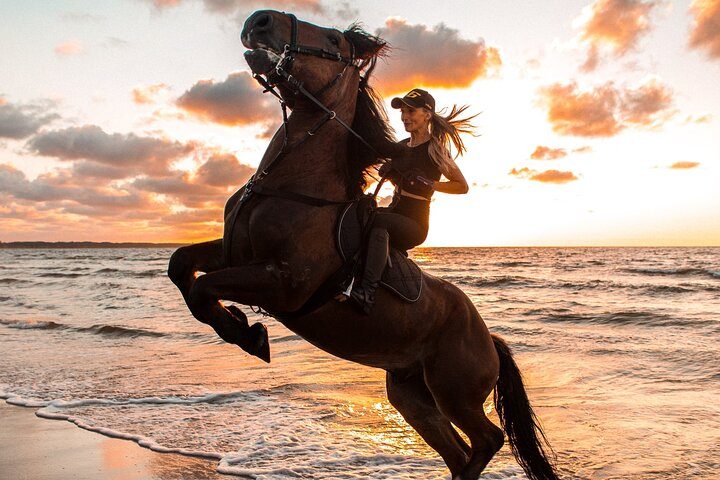 Horse Riding in Hurghada