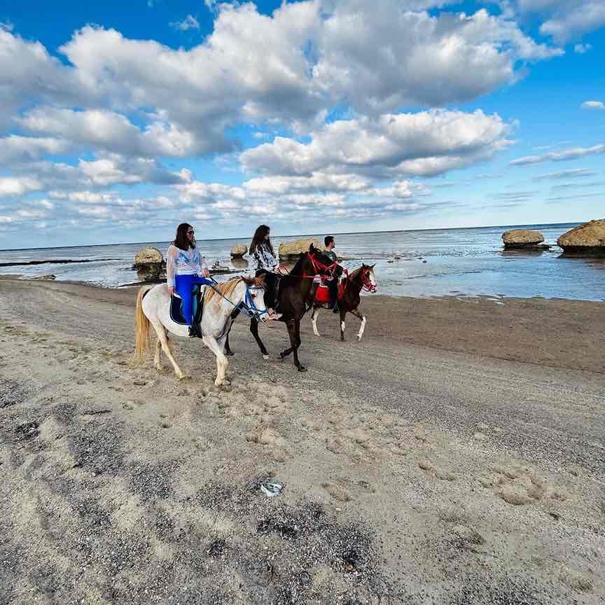 Horse Riding in Hurghada